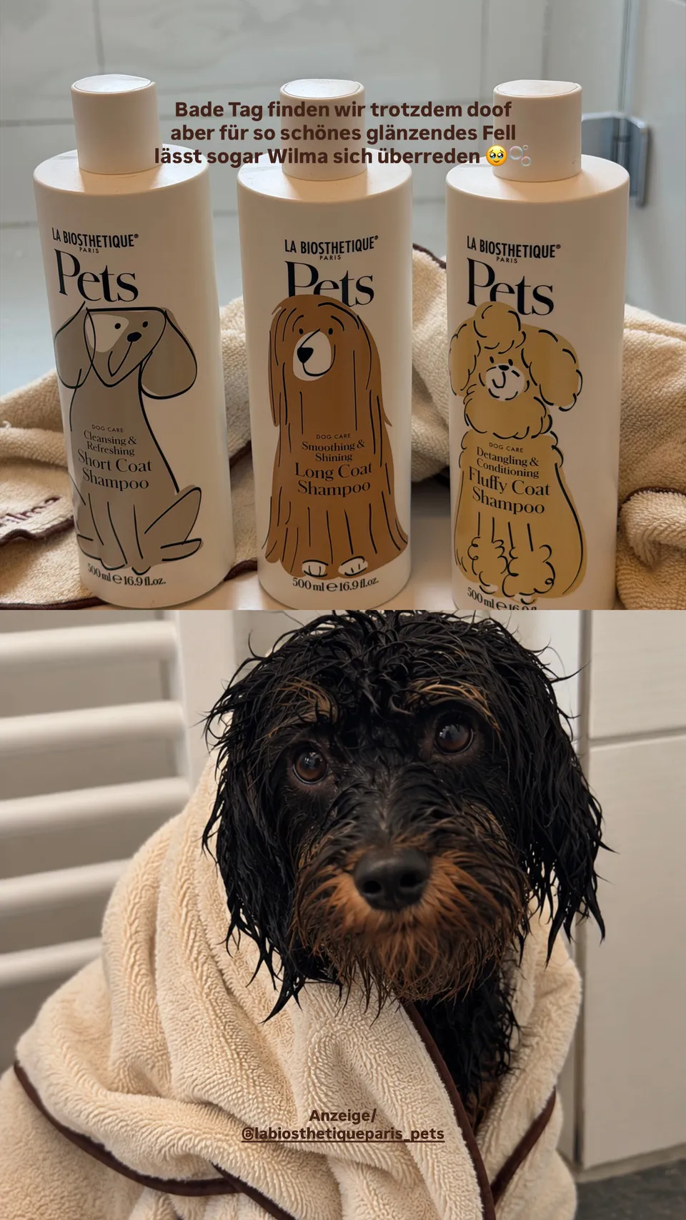 Story mit Shampooflaschen und Hund in einem Handtuch