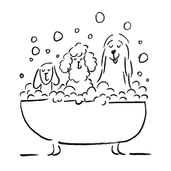 Illustration von drei Hunden in der Badewanne